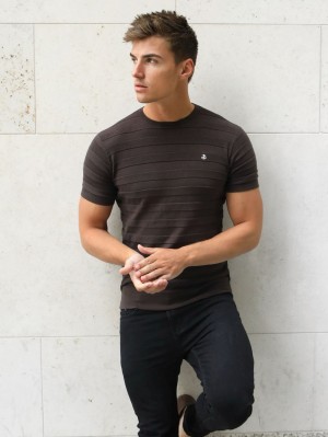 Brown Blakely Raphello Stripe T-Shirt | RIUM-93421