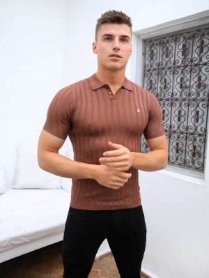 Brown Blakely Sidi Textured Stripe Polo | FGDB-03612