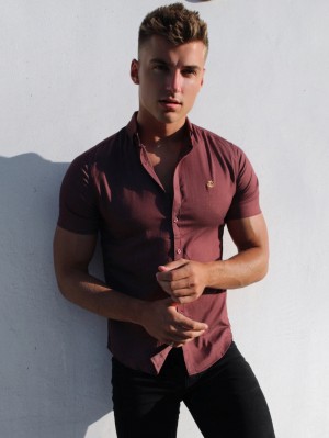 Burgundy Blakely Brisbane Short Sleeve Shirt | WKYL-10529