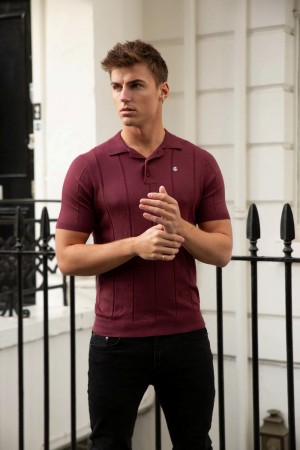 Burgundy Blakely Finsbury Polo Shirt | TSVL-42853