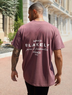 Burgundy Blakely Monaco Relaxed T-Shirt | DQLV-47908