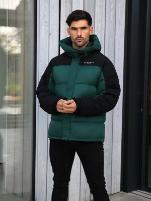 Forest Green Blakely Tampa Puffer Coat | QBRN-68312
