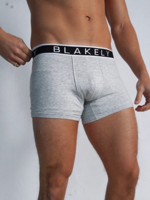 Grey 3 Pack Blakely B2 | Boxers | ZBSR-63047