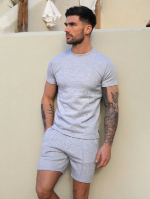 Light Grey Blakely Amezri Seamline T-Shirt | IERB-78360