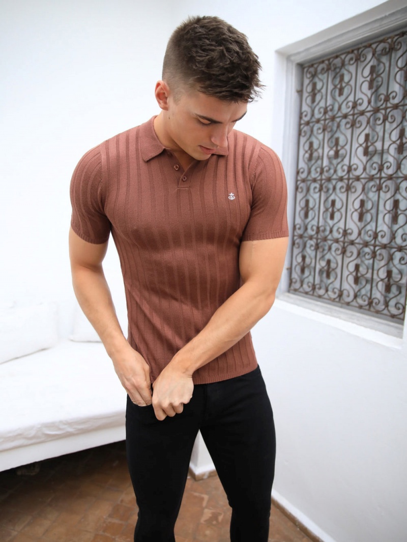 Brown Blakely Sidi Textured Stripe Polo | FGDB-03612
